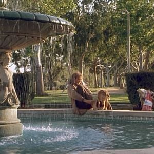 Fotoğraf Beverly Hills Macerası