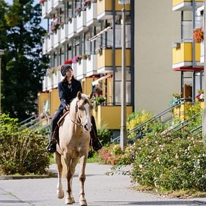 Fotoğraf Tristan Göbel