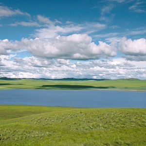 Fotoğraf Kurdun Uyanışı