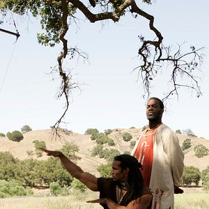 Fotoğraf When the Cobra Strikes