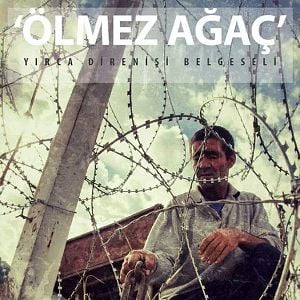 Fotoğraf Ölmez Ağaç : Yırca Direnişi