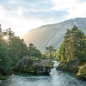 Fotoğraf Ex Machina