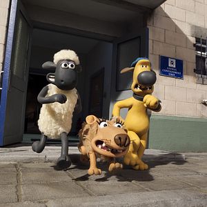 Fotoğraf Kuzular Firarda