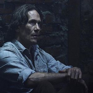 Fotoğraf Neil Napier