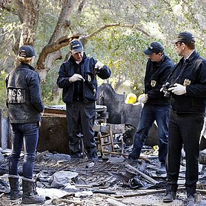 Fotoğraf Michael Weatherly