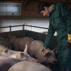 Fotoğraf Johan Libéreau