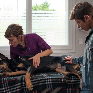 Fotoğraf Sarah Adler