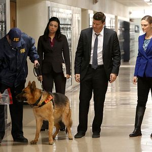 Fotoğraf Emily Deschanel