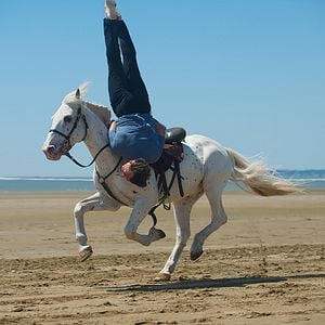 Fotoğraf Albert Dupontel