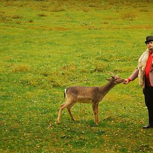 Fotoğraf Peter Trabner