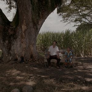 Fotoğraf Toprağın Gölgesinde