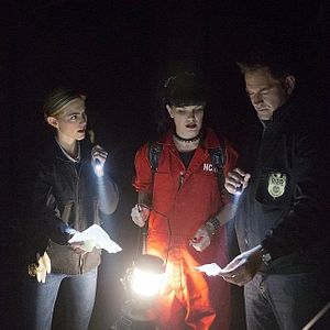 Fotoğraf Pauley Perrette