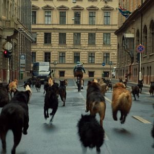 Fotoğraf Beyaz Tanrı