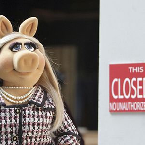 Fotoğraf The Muppets