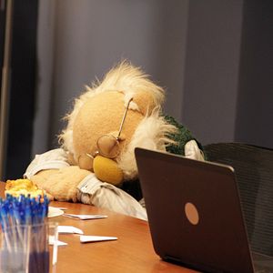 Fotoğraf The Muppets