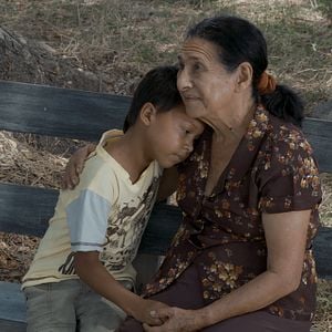 Fotoğraf Toprağın Gölgesinde