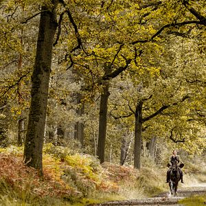 Fotoğraf Georgia Scalliet