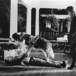 Fotoğraf Mr Destiny