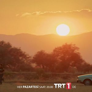 Fotoğraf Yeşil Deniz