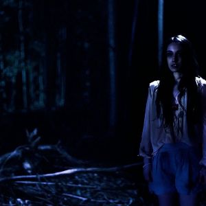 Fotoğraf Vahşet Geçidi