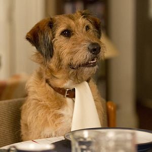 Fotoğraf Absolutely Anything