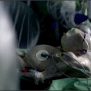 Fotoğraf Der Nachtmahr