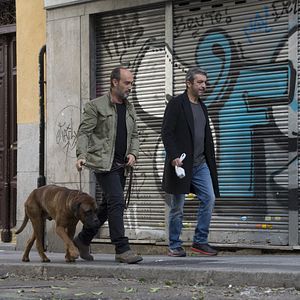 Fotoğraf Javier Cámara