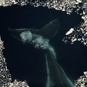 Fotoğraf Buz ve Gökyüzü