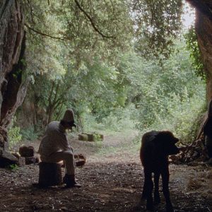 Fotoğraf Bella e Perduta