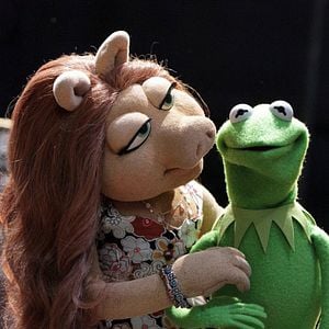Fotoğraf The Muppets