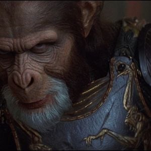 Fotoğraf Maymunlar Cehennemi