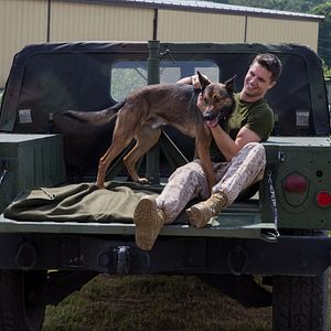 Fotoğraf Robbie Amell