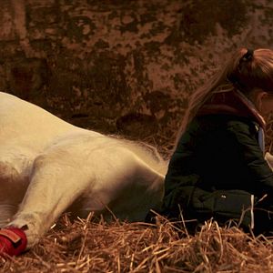 Fotoğraf Lucy Morton