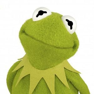 Fotoğraf The Muppets