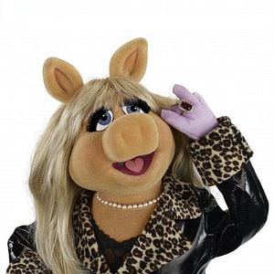 Fotoğraf The Muppets