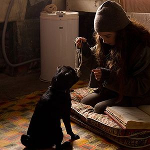 Fotoğraf Raffey Cassidy