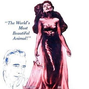 Fotoğraf The Barefoot Contessa