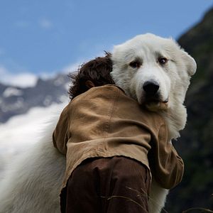 Fotoğraf Sebastian: Sevgili Dostum