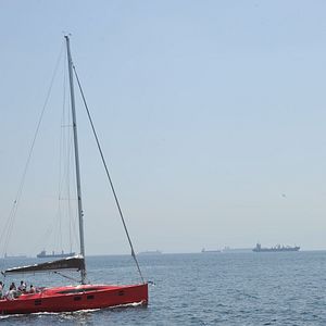 Fotoğraf Hayat Öpücüğü