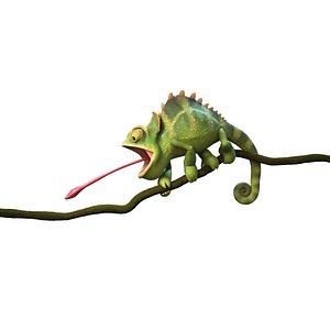 Fotoğraf Robinson Crusoe