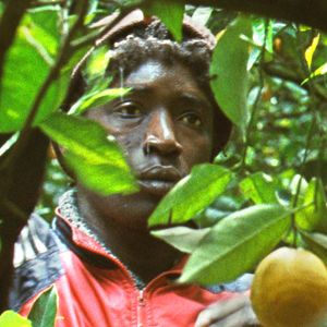 Fotoğraf Koudous Seihon