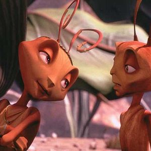 Fotoğraf Karınca Z