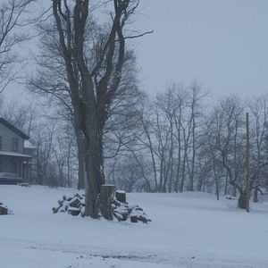 Fotoğraf We Are Still Here