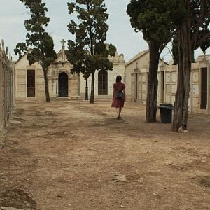 Fotoğraf Stephanie Petrowitz