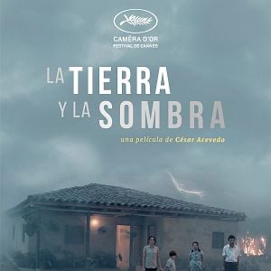 Fotoğraf Toprağın Gölgesinde