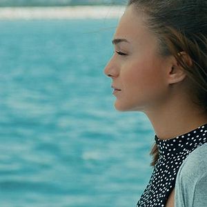 Fotoğraf Güllerin Savaşı