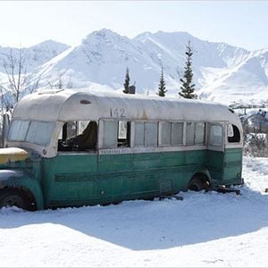 Fotoğraf Into the Wild