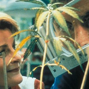 Fotoğraf Brenda Blethyn