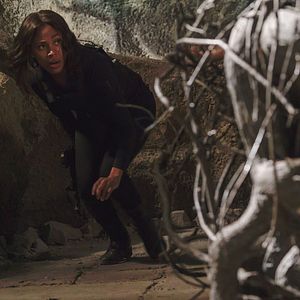 Fotoğraf Nicole Beharie