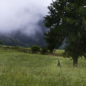 Fotoğraf Rüzgarın Hatıraları